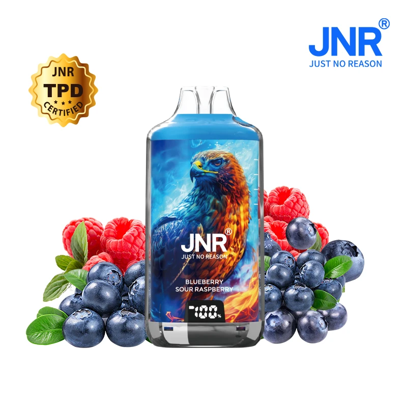 Puff JNR 28K rechargeable saveur Blueberry Sour Raspberry